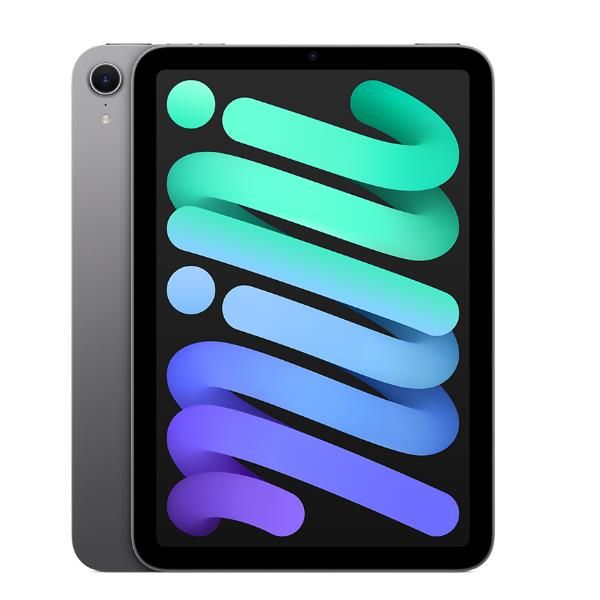 foto del prodotto ipad mini wi fi 256gb space grey