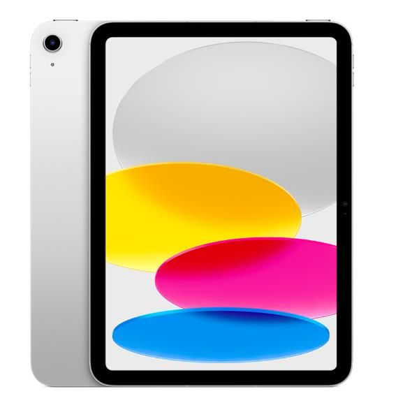 foto del prodotto ipad wf cl 256gb silver