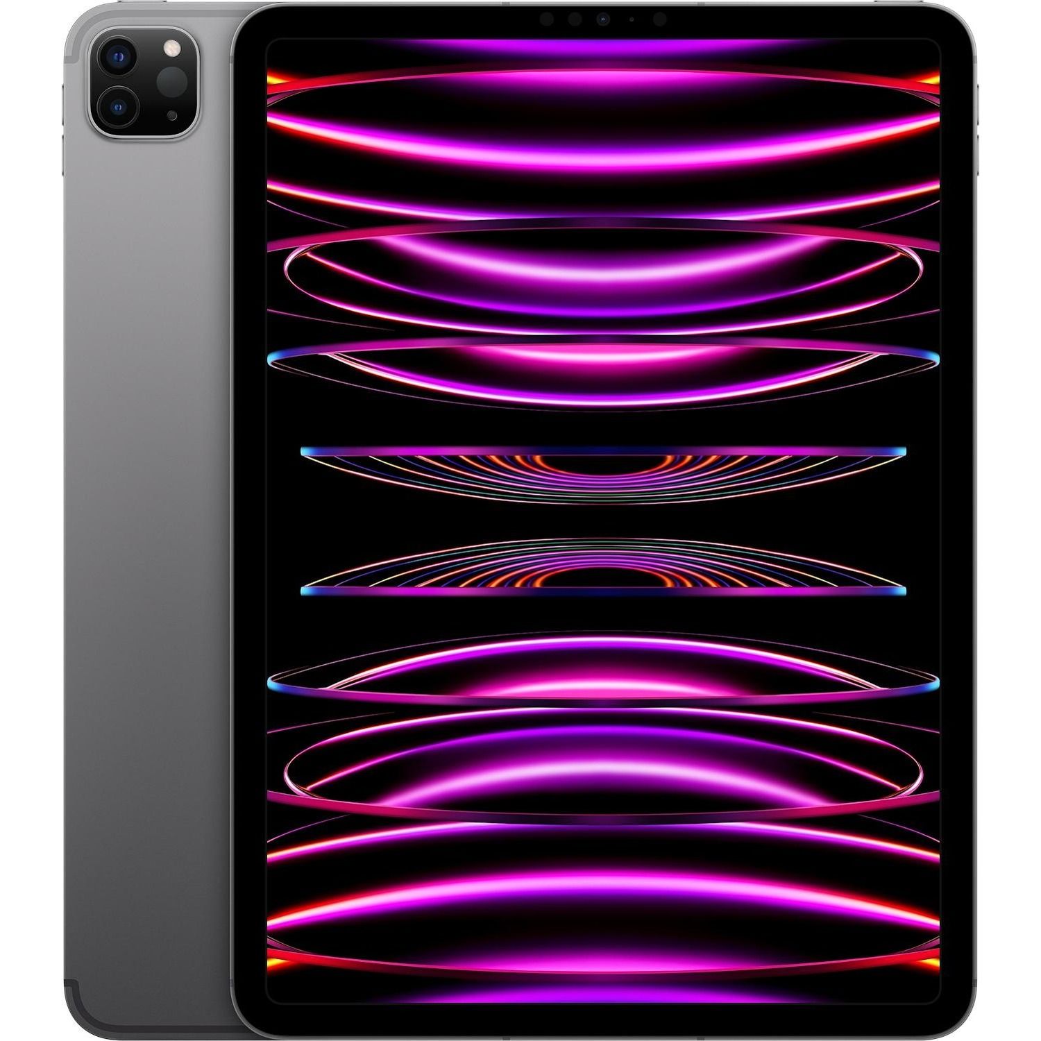 foto del prodotto ipadpro wf cl 256gb grey