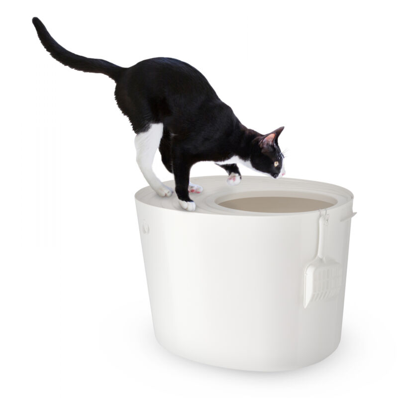 foto del prodotto iris ohyama lettiera per gatti, fino a 7kg, 1 pala, bianco, ingresso top, cat litter trey, chiuso, per gattini, lato alto, con cappuccio, grande,