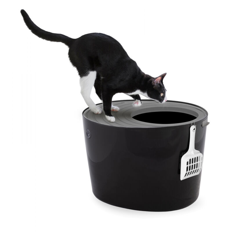 foto del prodotto iris ohyama lettiera per gatti, fino a 7kg, 1 pala, nero grigio, ingresso top, cat litter trey, chiuso, per gattini, lato alto, con cappuccio,