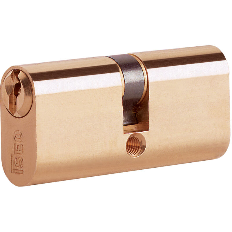 foto del prodotto iseo f5 8300 cilindro ovale 60 mm 23.8.29 27 33 
