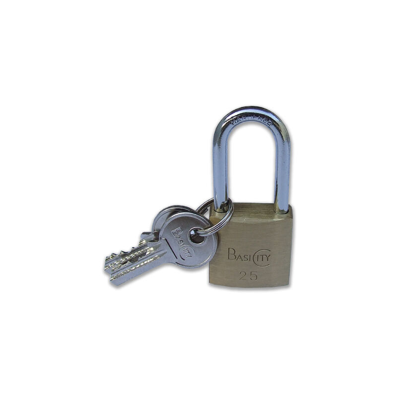 foto del prodotto iseo lucchetto city basic mm50 a l 507