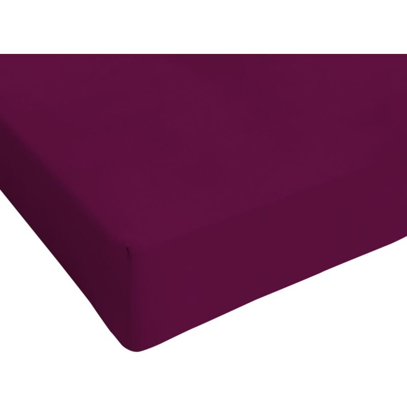 foto del prodotto italian bed linen max color lenzuolo sotto a 1 piazza e mezza, 100 cotone, prugna, 1 posto e mezzo