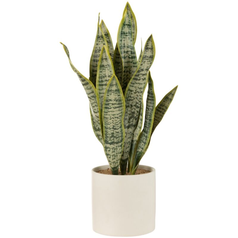 foto del prodotto j line pianta sansevieria vaso, verde, extra large, casa, decorazioni casa