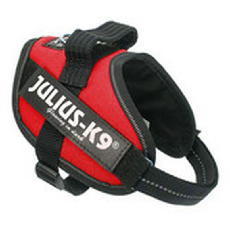 foto del prodotto julius k9 - julius arn s idc mini mini red