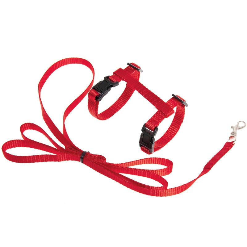 foto del prodotto k f art sportiv arn s red correa 10mm correa 120 cm