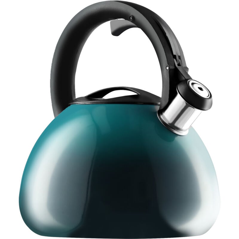 foto del prodotto kadax bollitore con fischio a induzione a gas in acciaio 2,6 l