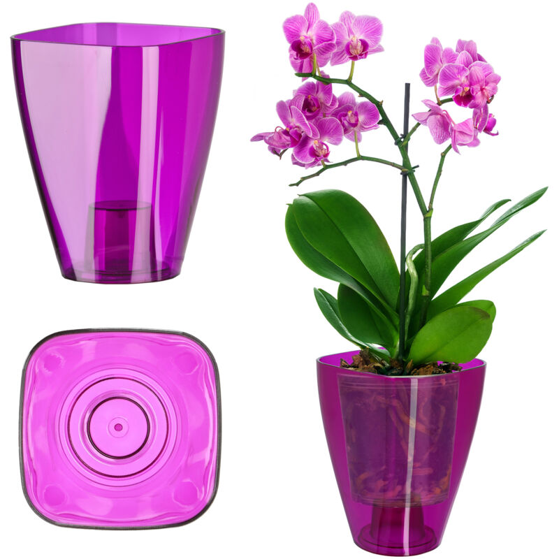 foto del prodotto kadax fioriera per orchidee in plastica con supporto per fiori, 12 cm, viola