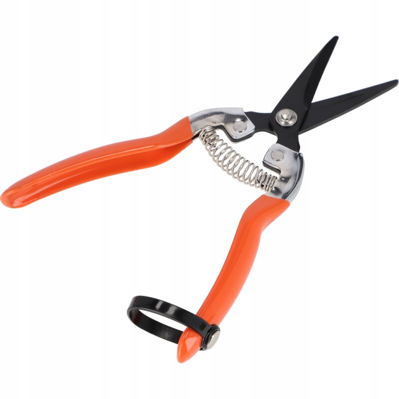 foto del prodotto kadax forbici da giardino forbici da giardino 19 cm