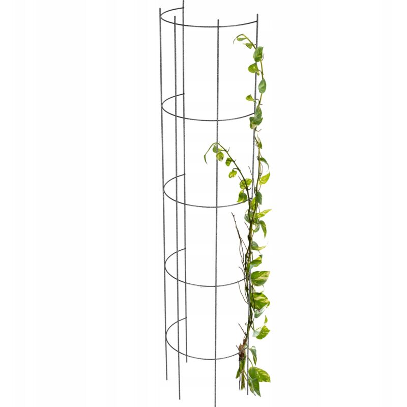 foto del prodotto kadax pergola da giardino supporto in metallo per fiori rose piante colonna 150 cm