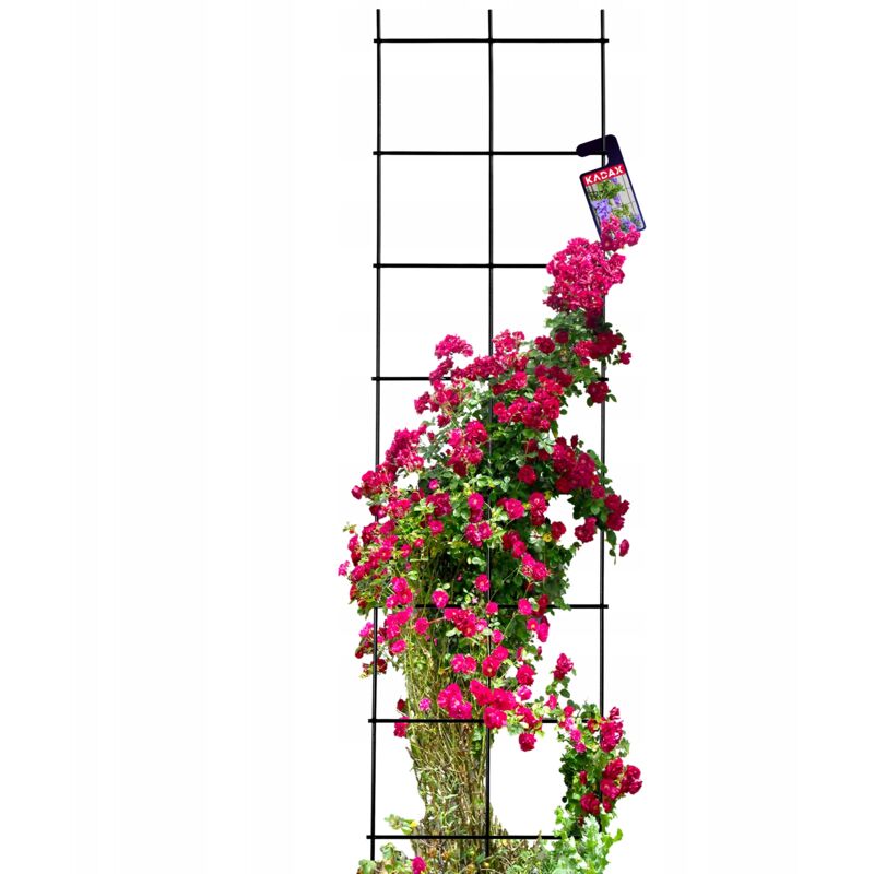 foto del prodotto kadax pergola da giardino traliccio per piante rampicanti 35x120