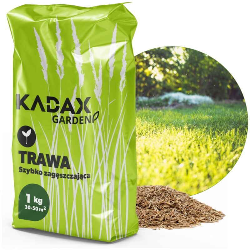 foto del prodotto kadax semi di erba universale prato resistente all ispessimento rapido 1 kg 40 m2