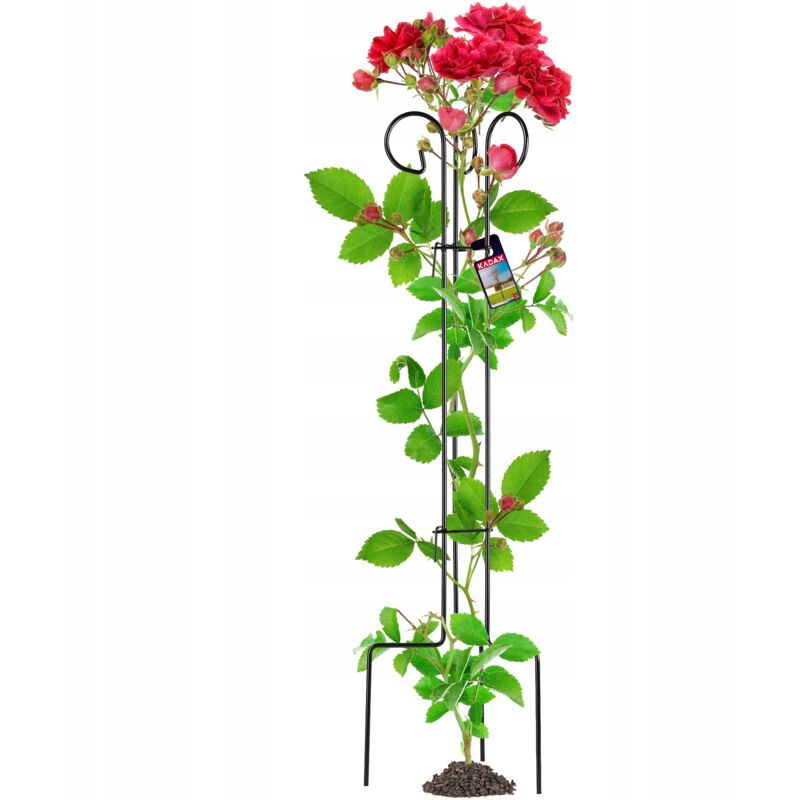 foto del prodotto kadax supporto a morsetto per rose, piante rampicanti, acciaio, 90 cm