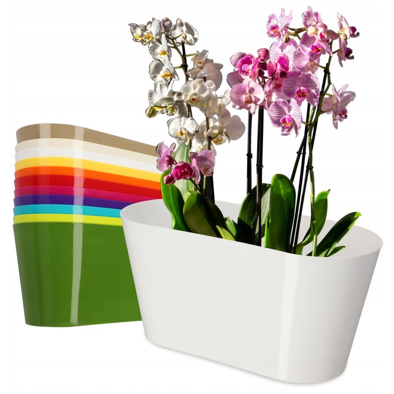 foto del prodotto kadax vaso da fiori in plastica 27 x 13 cm vaso ovale grande per orchidee, bellis, viole del pensiero, drazenes bianco 