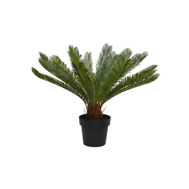 foto del prodotto kaemingk cycas in vaso 80 h.60 cm verde