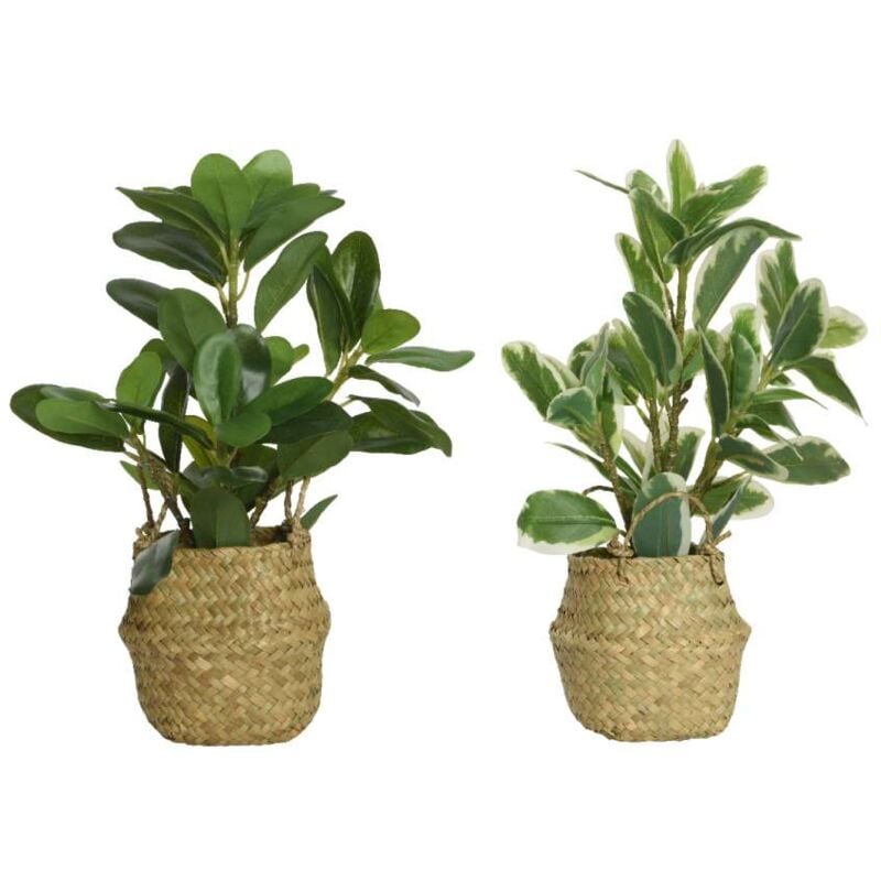 foto del prodotto kaemingk pianta artificiale verde 25x25x35 cm