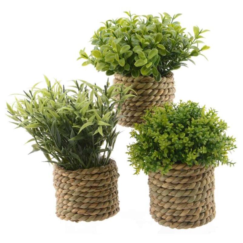 foto del prodotto kaemingk pianta artificiale verde vaso 16x13cm