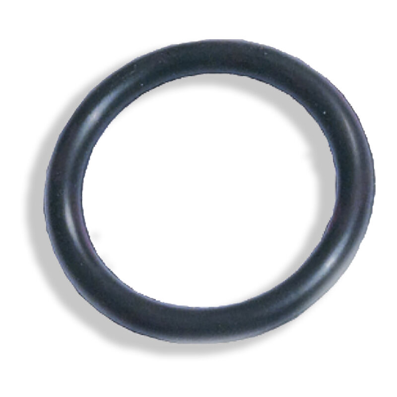 foto del prodotto kariba guarnizione oring per piletta cassetta