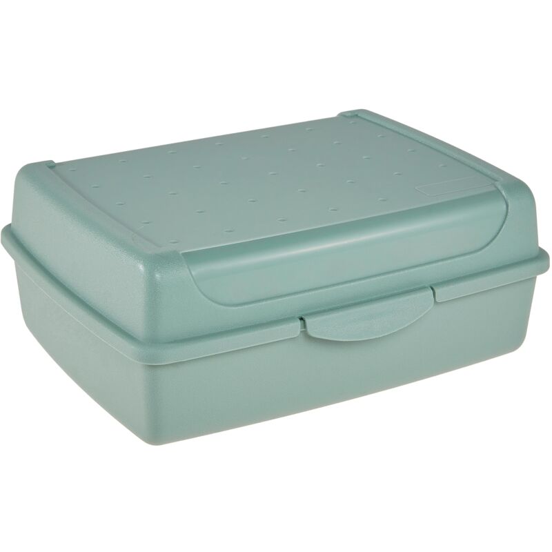 foto del prodotto keeeper contenitore per alimenti con chiusura a scatto, 17 x 13 x 7 cm, 1 l, luca midi, nordic green verde 