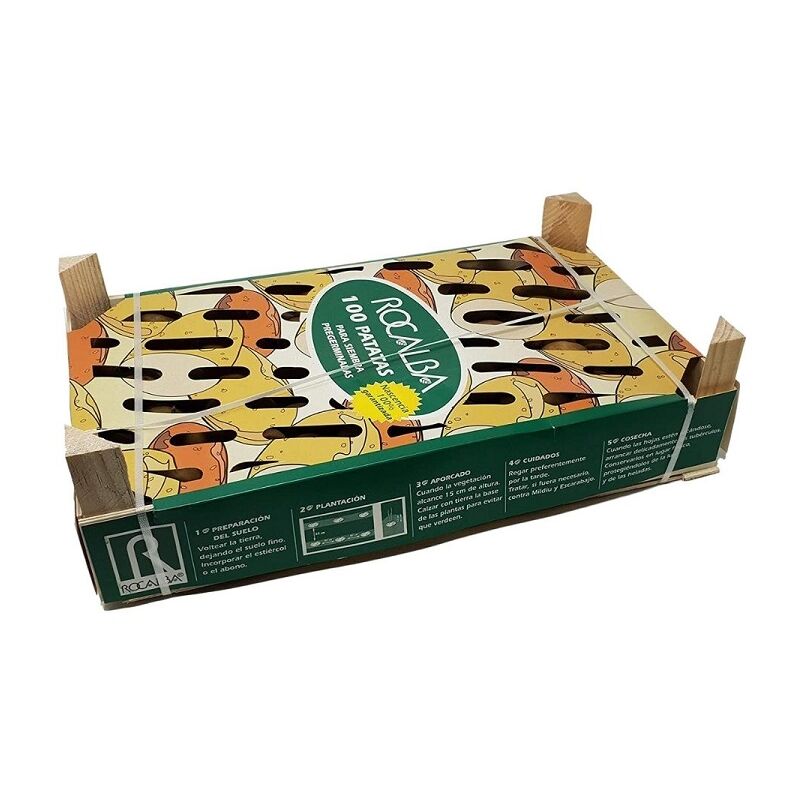 foto del prodotto kennebec patate vassoio per piantagione, 100 unit rocalba
