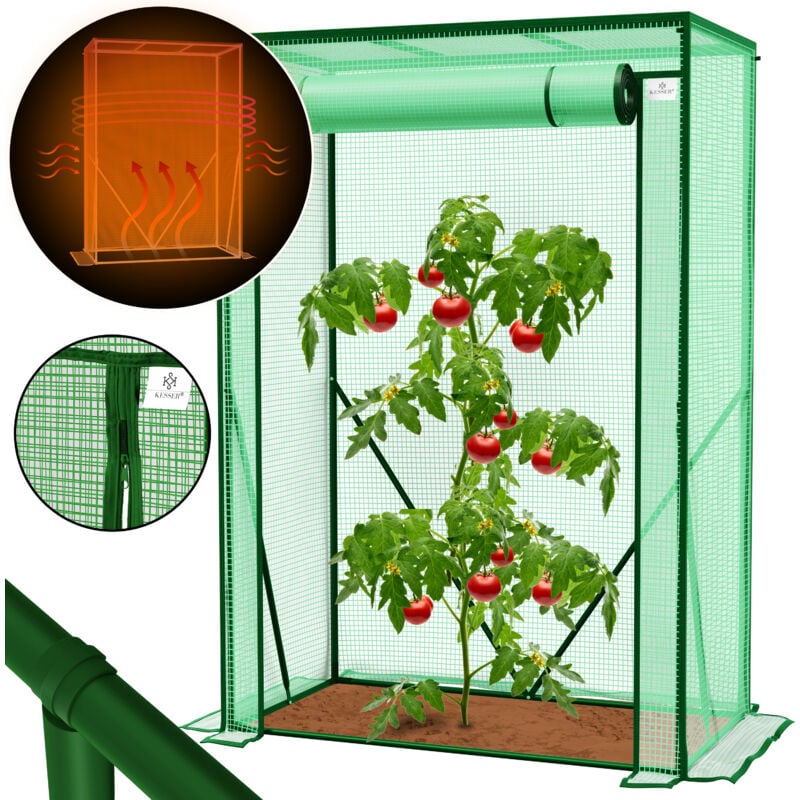 foto del prodotto kesser premium serra per pomodori serra in pellicola serra piccola casa per pomodori serra con porta avvolgibile struttura fredda verde 100 x 50