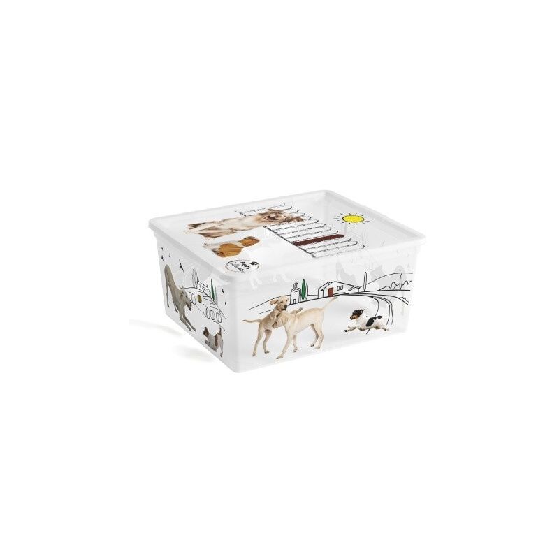 foto del prodotto keter contenitore c box 40x34xh17cm pets collection