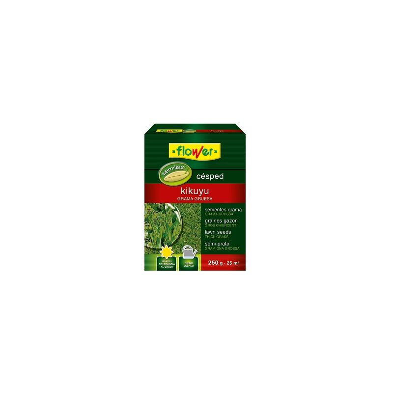 foto del prodotto kikuyu seme fiore spesso 250 gr.