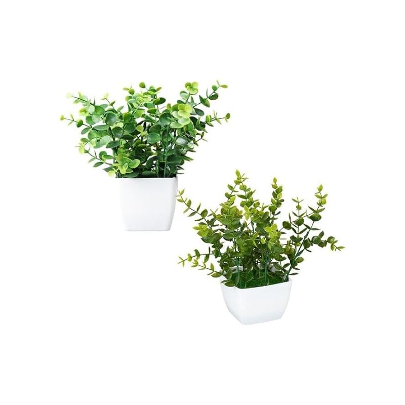 foto del prodotto king home piantine artificiali set 2 pz in scatola trasparente di acetato