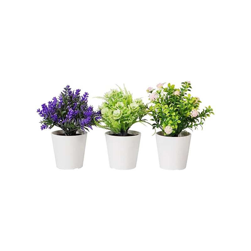 foto del prodotto king home piantine artificiali set 3 pz in scatola trasparente di acetato