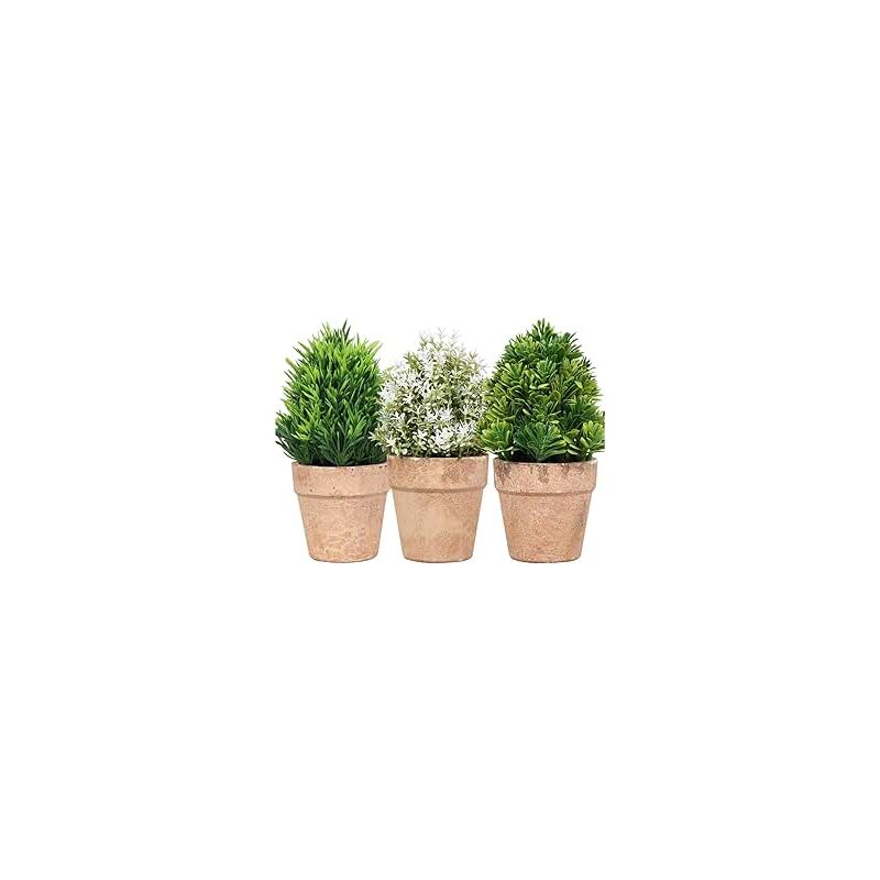 foto del prodotto king home piantine artificiali set 3 pz in scatola trasparente di acetato