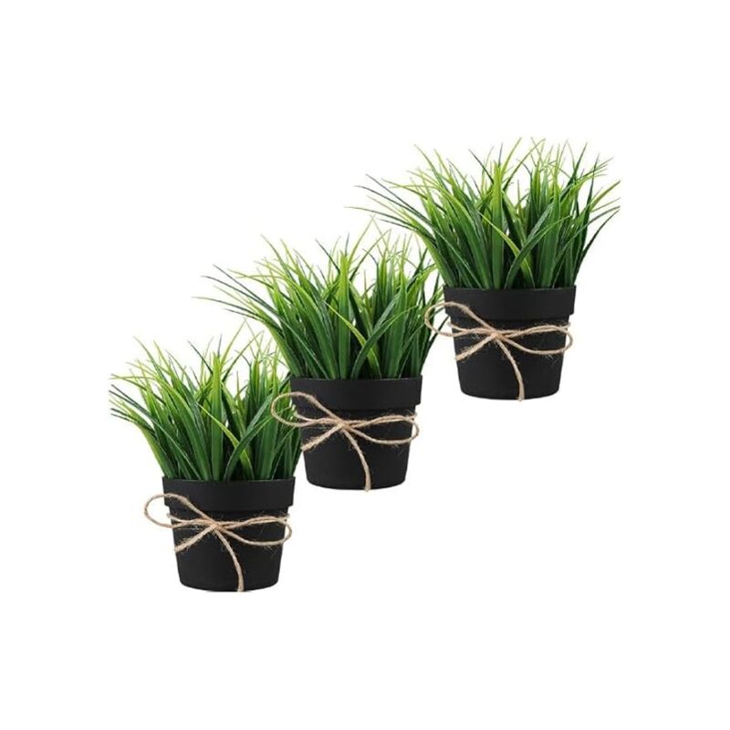 foto del prodotto king home piantine artificiali set 3 pz in scatola trasparente di acetato