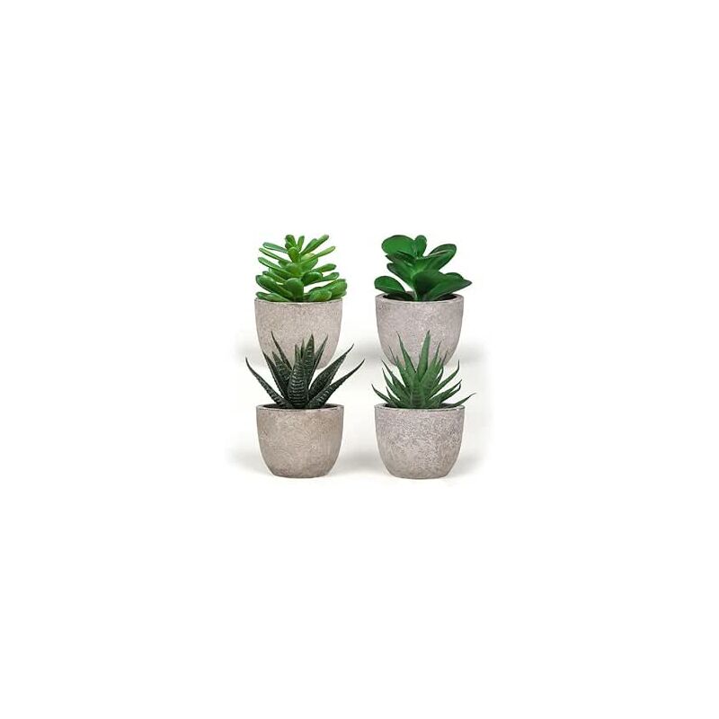 foto del prodotto king home piantine artificiali set 4 pz in scatola trasparente di acetato