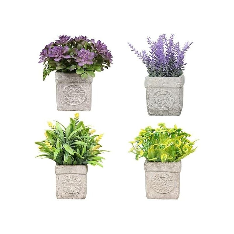 foto del prodotto king home piantine artificiali set 4 pz in scatola trasparente di acetato