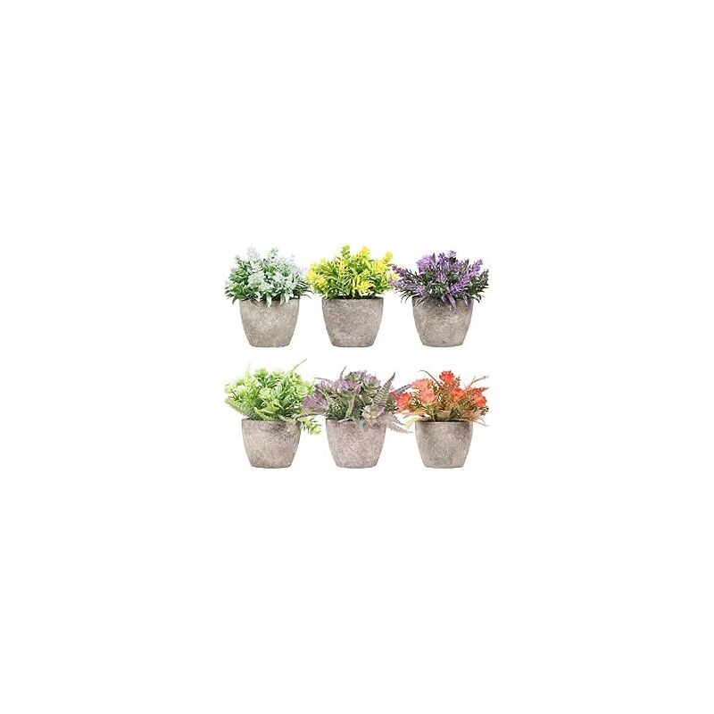 foto del prodotto king home piantine artificiali set 6 pz in scatola trasparente di acetato