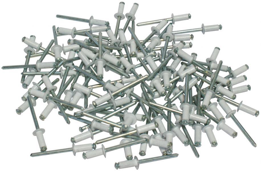 foto del prodotto kit 100 rivetti bianchi fissaggio targa