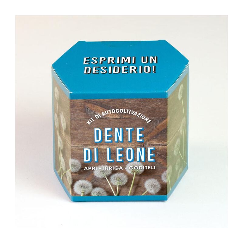 foto del prodotto kit autocoltivazione dente di leone, casa, idee regalo, cucina resetea