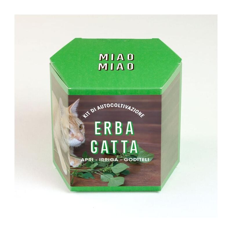 foto del prodotto kit autocoltivazione erba gatta, casa, idee regalo resetea