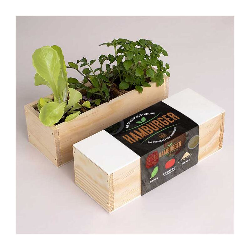 foto del prodotto kit autocoltivazione hamburger, casa, idee regalo, cucina resetea