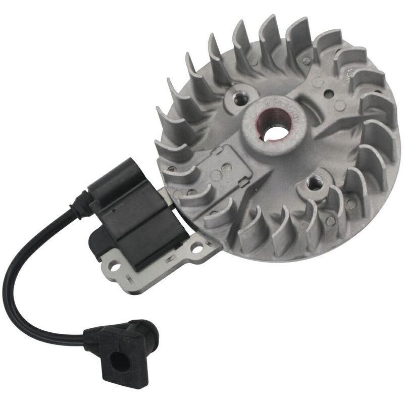 foto del prodotto kit bobina elettronica compatibile motore kasei decespugliatore 38cc 4 tempi