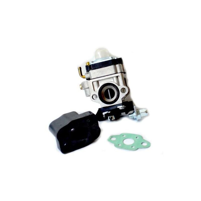 foto del prodotto kit carburatore completo p.52 54 p 99710
