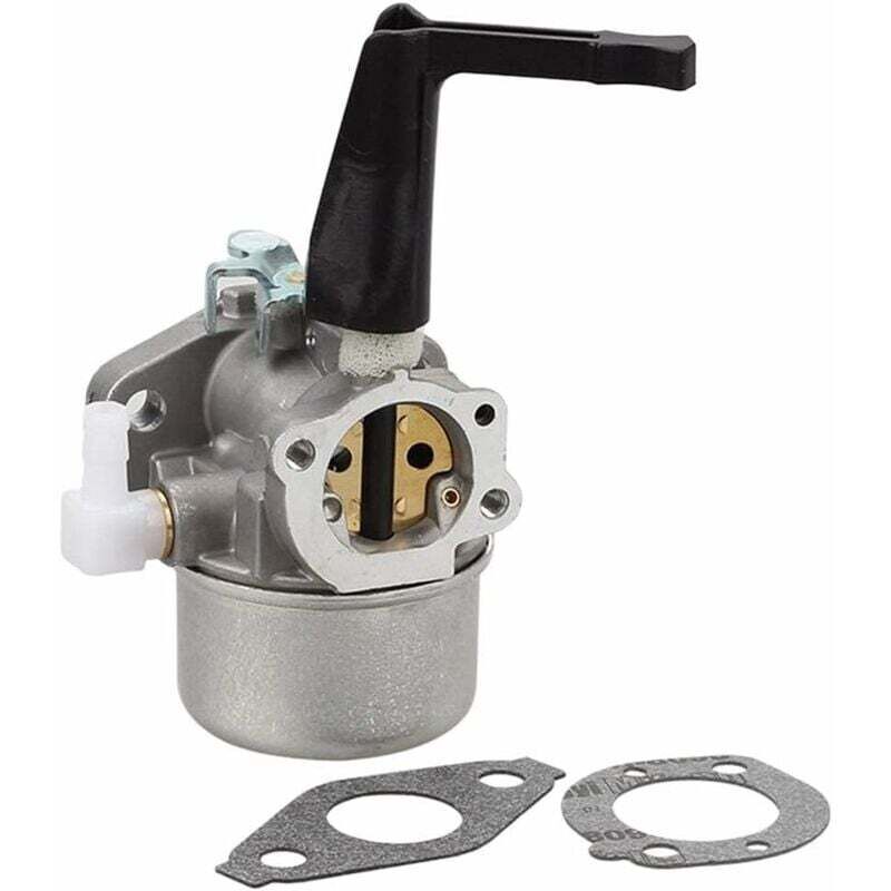 foto del prodotto kit carburatore per motocoltivatore briggs stratton 696065 ricambi con guarnizione in metallo
