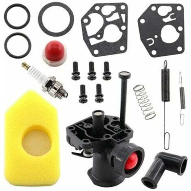 foto del prodotto kit carburatore per prato, molla del regolatore 691859, membrana 692211, diaframma 795083, briggs stratton 499809, 498809a, 494406 e filtro
