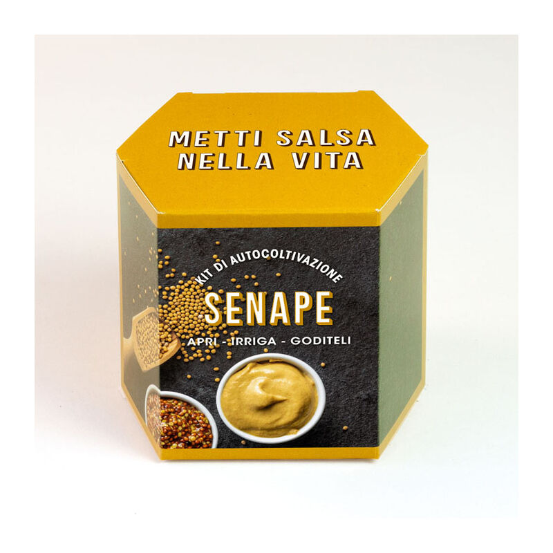 foto del prodotto kit di autocoltivazione senape, casa, idee regalo, cucina resetea