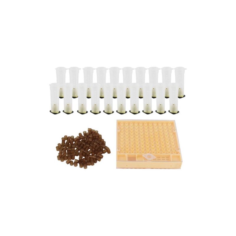 foto del prodotto kit di celle di allevamento per api regine, gabbia di plastica, kit di tazze per celle di allevamento, forniture per apicoltura