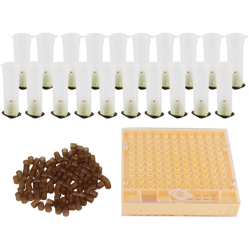 foto del prodotto kit di celle di allevamento per api regine, gabbia di plastica, kit di tazze per celle di allevamento, forniture per apicoltura