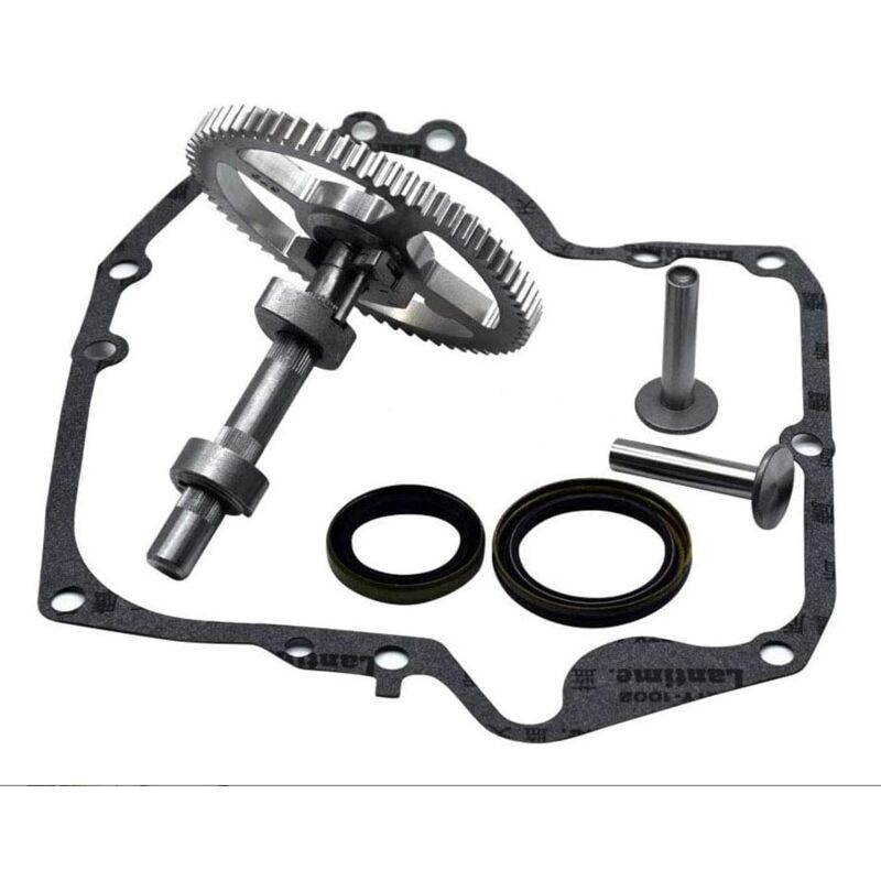 foto del prodotto kit di sostituzione albero a camme briggs stratton 793880 793583 792681 791942 795102 con paraolio 795387 e guarnizioni carter 697110