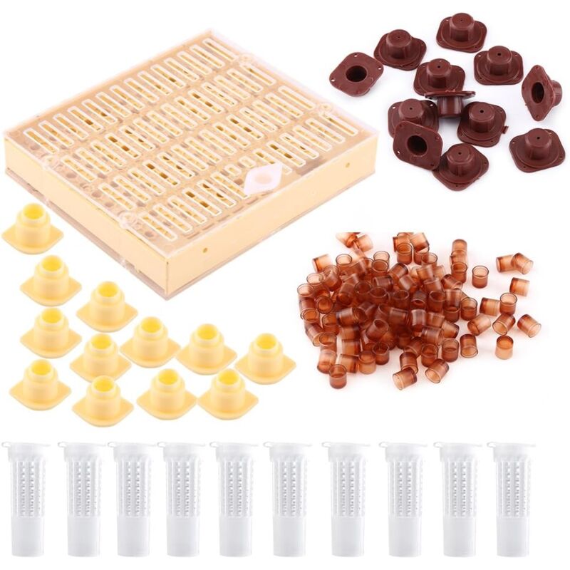 foto del prodotto kit essenziale per l apicoltura apicoltura regina produzione apistica pappa reale