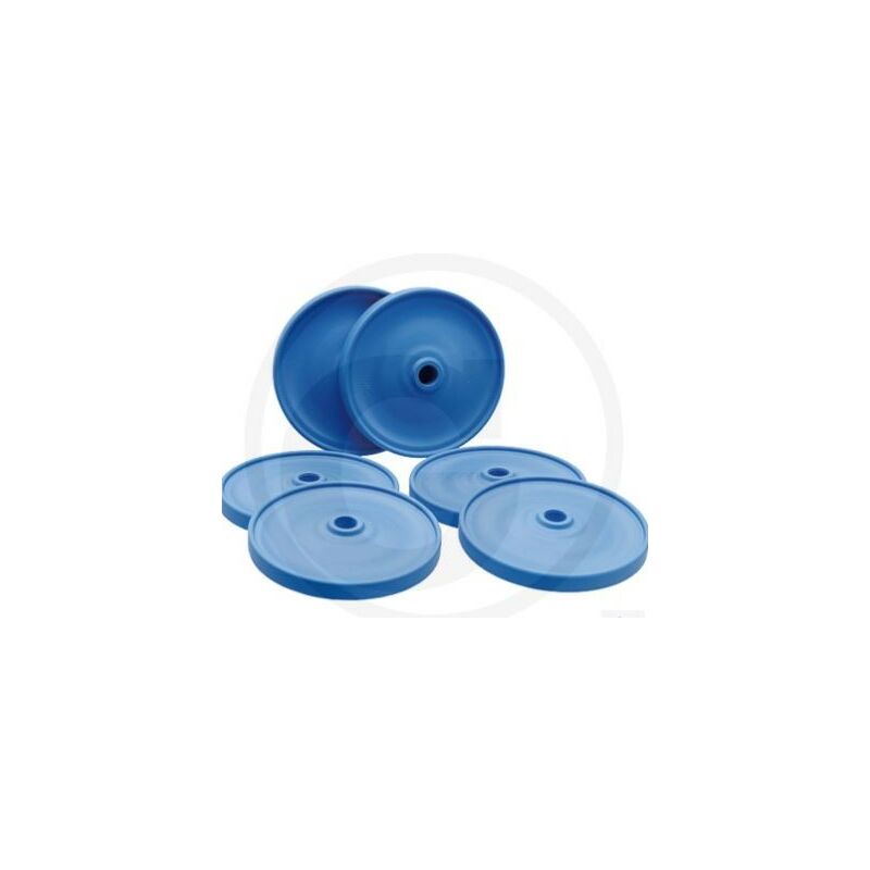 foto del prodotto kit membrana per pompa a membrana ar 215 bp c c blue flex annovi 67043190