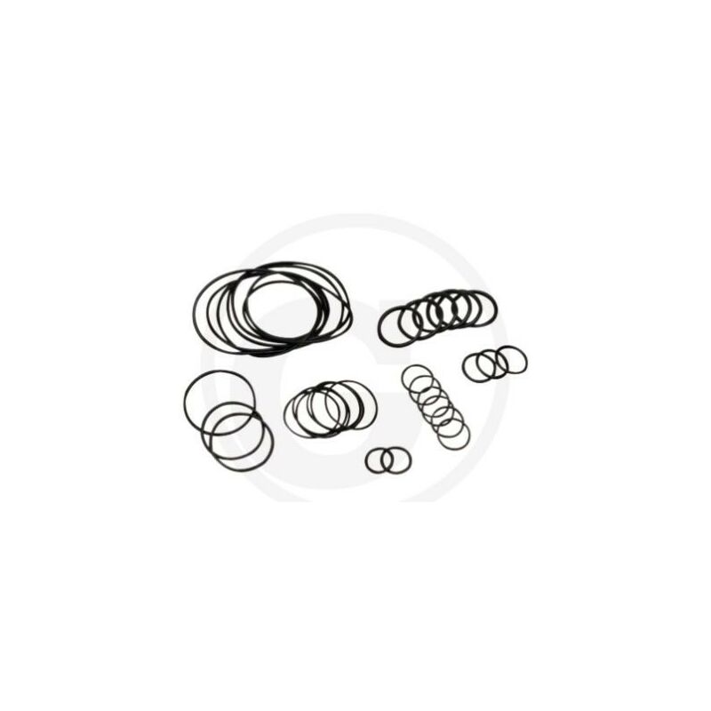 foto del prodotto kit o ring fino a serie n. 1801913999 per pompa a membrana ar 813 annovi 6702376